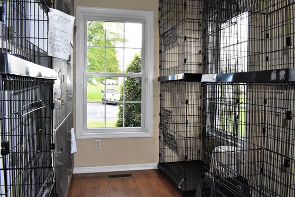 Bed & Biscuit: 153 Fence Ln, Crossville, TN 38571
